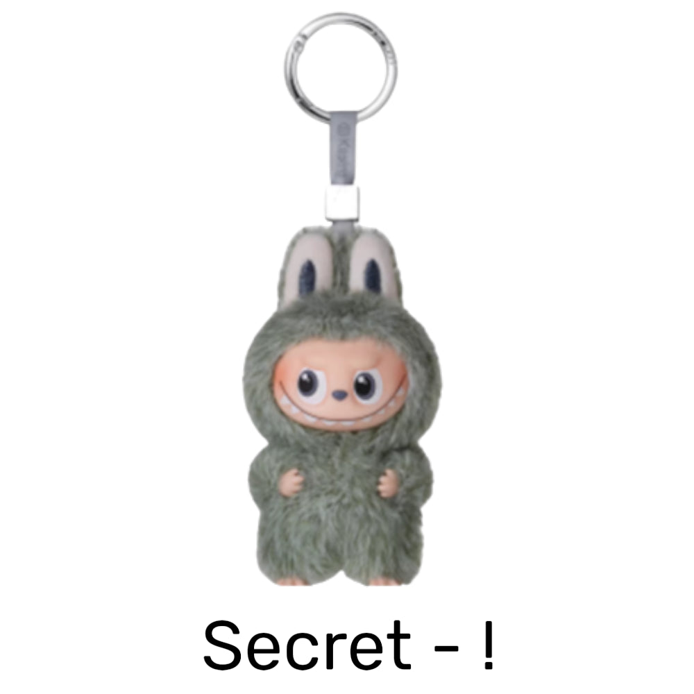 Authentic Labubu 1.0 - 4.0 All Secret Editions Bundle Set